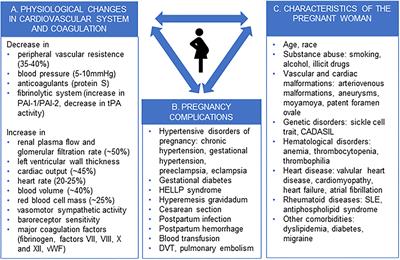 Trends in the Incidence and Risk Factors of Pregnancy-Associated Stroke